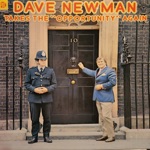 The lion sleeps tonight