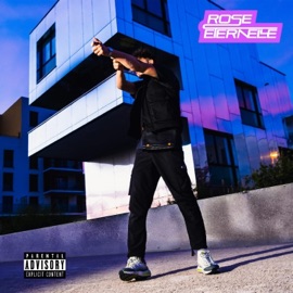 Rose eternelle Diziø