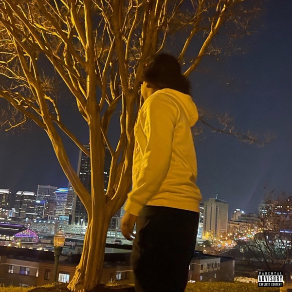 804 Freestyle