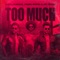 TOO MUCH - David Shannon, Frank Rivers & Nic Perez lyrics