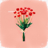 Story - Single - androp