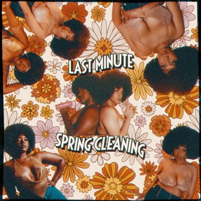 Last Minute Spring Cleaning (feat. DRU) - Single