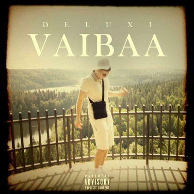 Vaibaa - Single