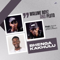 Bhenga Kakhulu (feat. PRVIS3, Walume Boys, Triple X Da Ghost & Nelerh) - Single - P L U T O