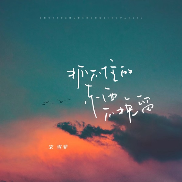 抓不住的东西不挽留 - Single