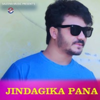 Jindagika Pana - Single - Saleena Music