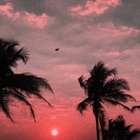 Yellow Moon - Single - SLICEZZZ