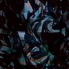 Night Sky cover art