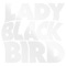 Baby I Just Don't - Lady Blackbird lyrics