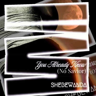 You Already Know (No Savior) - Single
