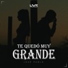 Te Quedó Muy Grande - Single