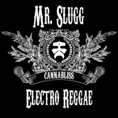 Mr. Slugg - Holy Ganja