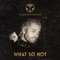 Goh (feat. KLP) [IMANU/Signal Remix] - What So Not & Skrillex lyrics
