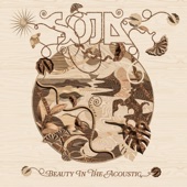 Beauty In The Acoustic (Acoustic) artwork