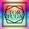 Brass Knuckles - Tortuga lyrics