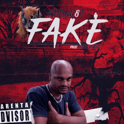 Fake - Single