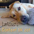 Content lik zot