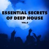 Essential Secrets of Deep House, Vol. 6