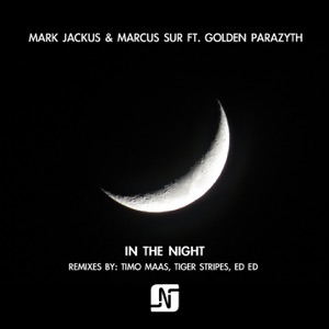 In the Night (feat. Golden Parazyth) - EP