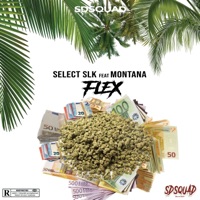 Flex (feat. Montana) - Single - Select Slk