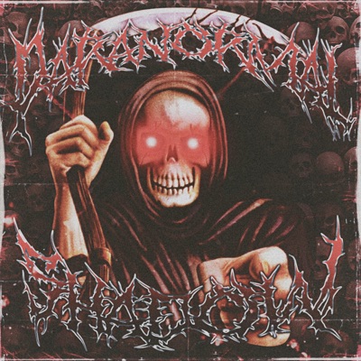 Paranormal Shadow - Single
