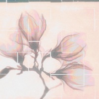 magnolia (feat. Matt Priscilla) [Sped Up] - Single - monterey