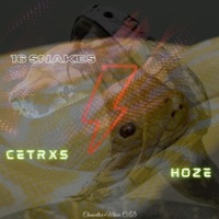 16 Snakes (feat. Hoze) - Single - CetrXs