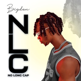 Nlc Bigdan