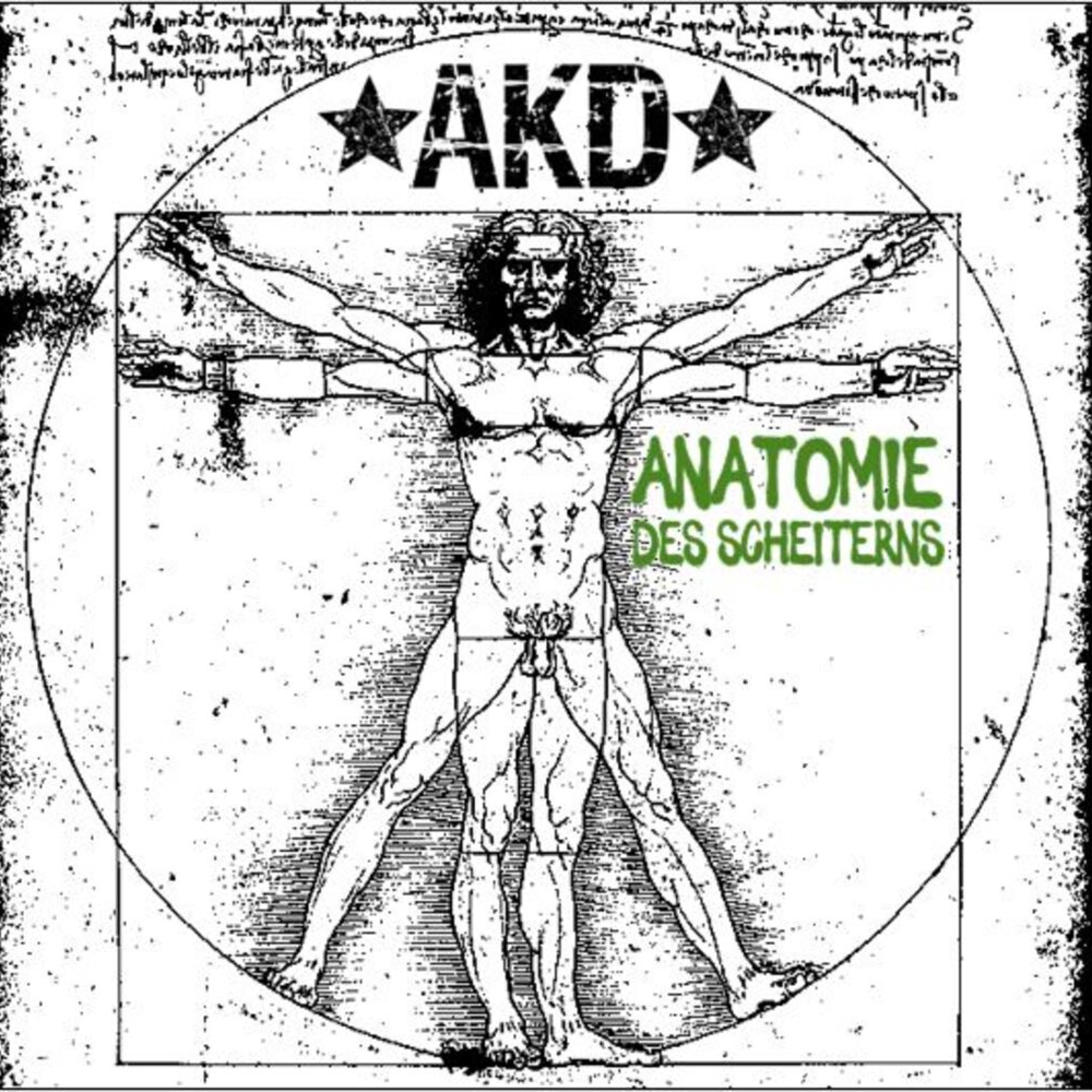 Anatomie des Scheiterns