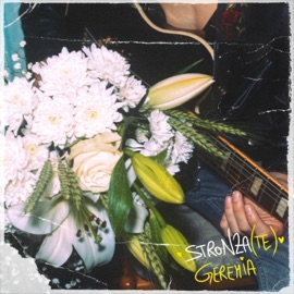 Stronza(te) Geremia, Mach1 & Harley