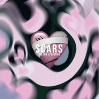 Scars (feat. DJANG0) - Single - Dusha.mp3