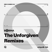 The Unforgiven (Airplay Mix) artwork