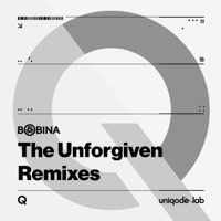 The Unforgiven (Vadim Adamov & Hardphol Remix)
