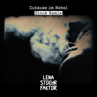 Zuhause im Nebel (Sinok Remix) - Single