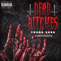 Dead Bitches (feat. ReaderBsaucin) - Single - Young Soer