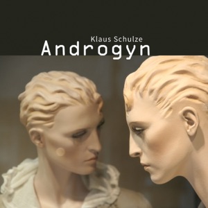 Androgyn (feat. Wolfgang Tiepold)