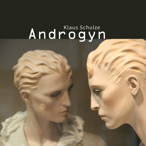 Androgyn (feat. Wolfgang Tiepold)