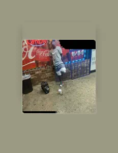 DeeB Frank$ dinle, müzik videolarını izle, biyografisini oku, tur tarihlerini ve daha fazlasını gör!