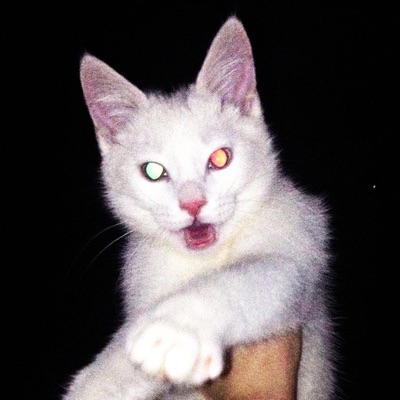 Find Me/Who Am I (Purgatroy Version) - Single