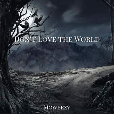 Don't Love the World - Single