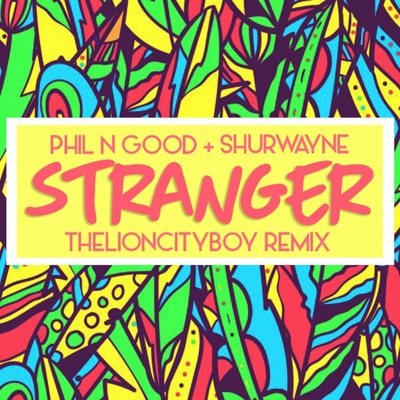 Stranger (feat. Shurwayne) [TheLionCityBoy Remix] - Single