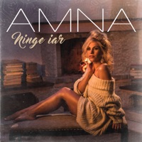 Ninge Iar - Single - Amna