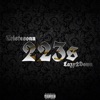 223s (feat. $erioFrmDaEast) - Single