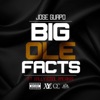 Big Ole Facts (feat. Cool Amerika) - Single