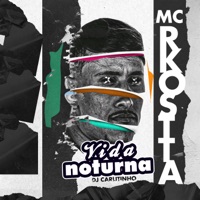 Vida Noturna - Single - Dj Carlitinho & Mc Rkostta