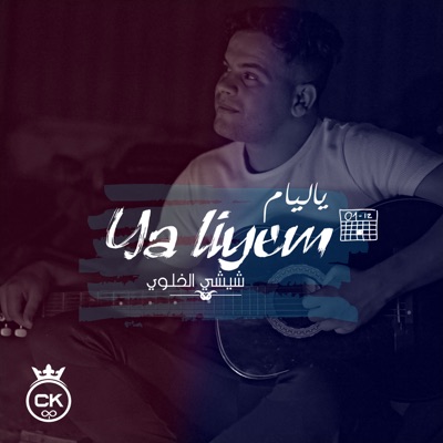 Ya Liyem (feat. Allaa Mazari) - Single