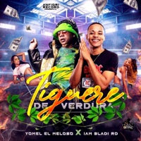 Tiguere de Verdura (feat. Yomel El Meloso) - Single - Iam Bladi RD