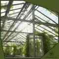 Greenhouse