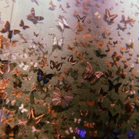 Cheesy Major - Single - OldyGotTheSound