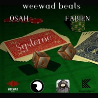 SYSTEME D (feat. Fabien & Weewad Beat) - Single - Osah